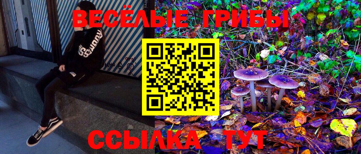 Выкса  Псилоцибиновые грибы ЛСД  Вход с VPN 