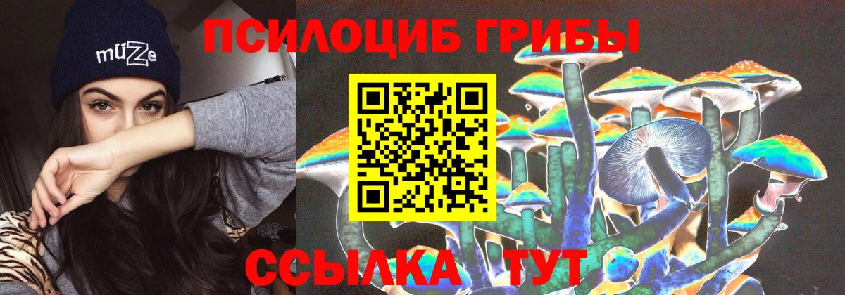 Галлюциногенные грибы мицелий Выкса